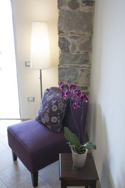 Calathea B&B Pettenasco Exterior foto