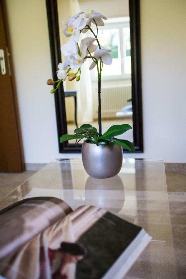 Calathea B&B Pettenasco Exterior foto